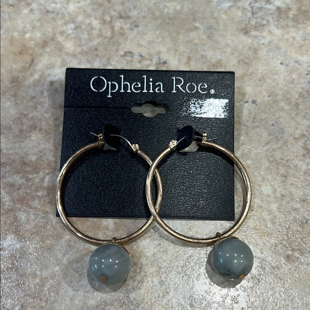 Gold Hoop Earrings with Gray Accents